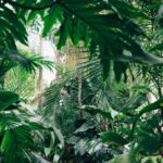 27 Hanging Plants Indoors Ideas That Actually Work (No More Dead Ferns)