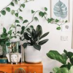 Greenery