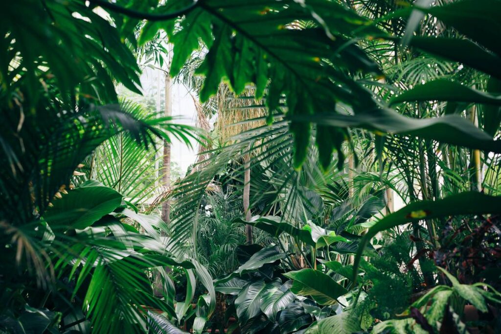 hanging house plant decor: elevate your space without the hassle