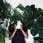 Where to Buy Hanging Plants at Home Depot (And Why Most People Pick the Wrong Ones)