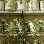 Hanging Plants Artificial Decor: 7 Proven Tips to Avoid Costly Mistakes