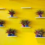 Hanging Wall Plants Decor: 7 Proven Tips to Avoid Costly Mistakes