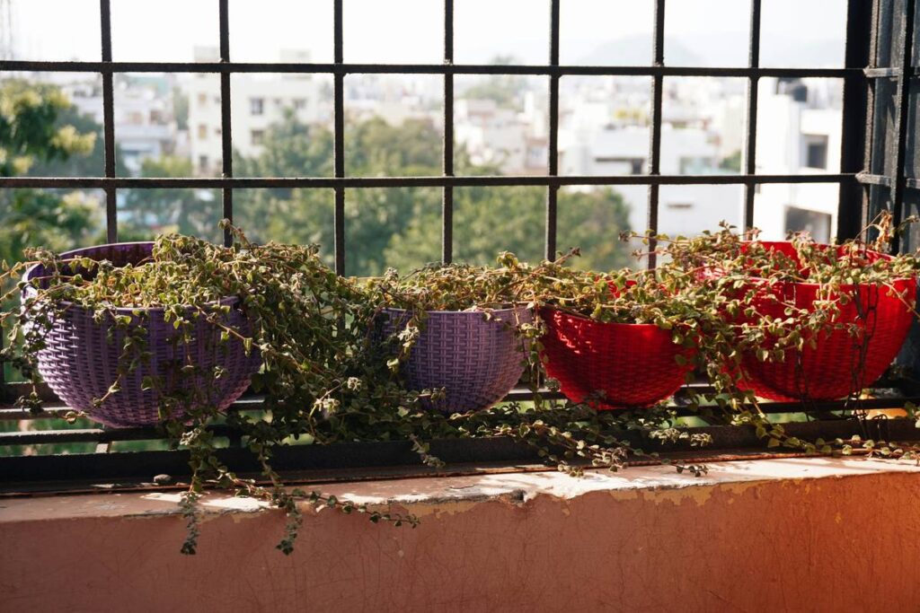 Natural Ambiance Hanging Plant Outdoor Easy: 7 Proven Ways to Create Effortless Garden Magic
