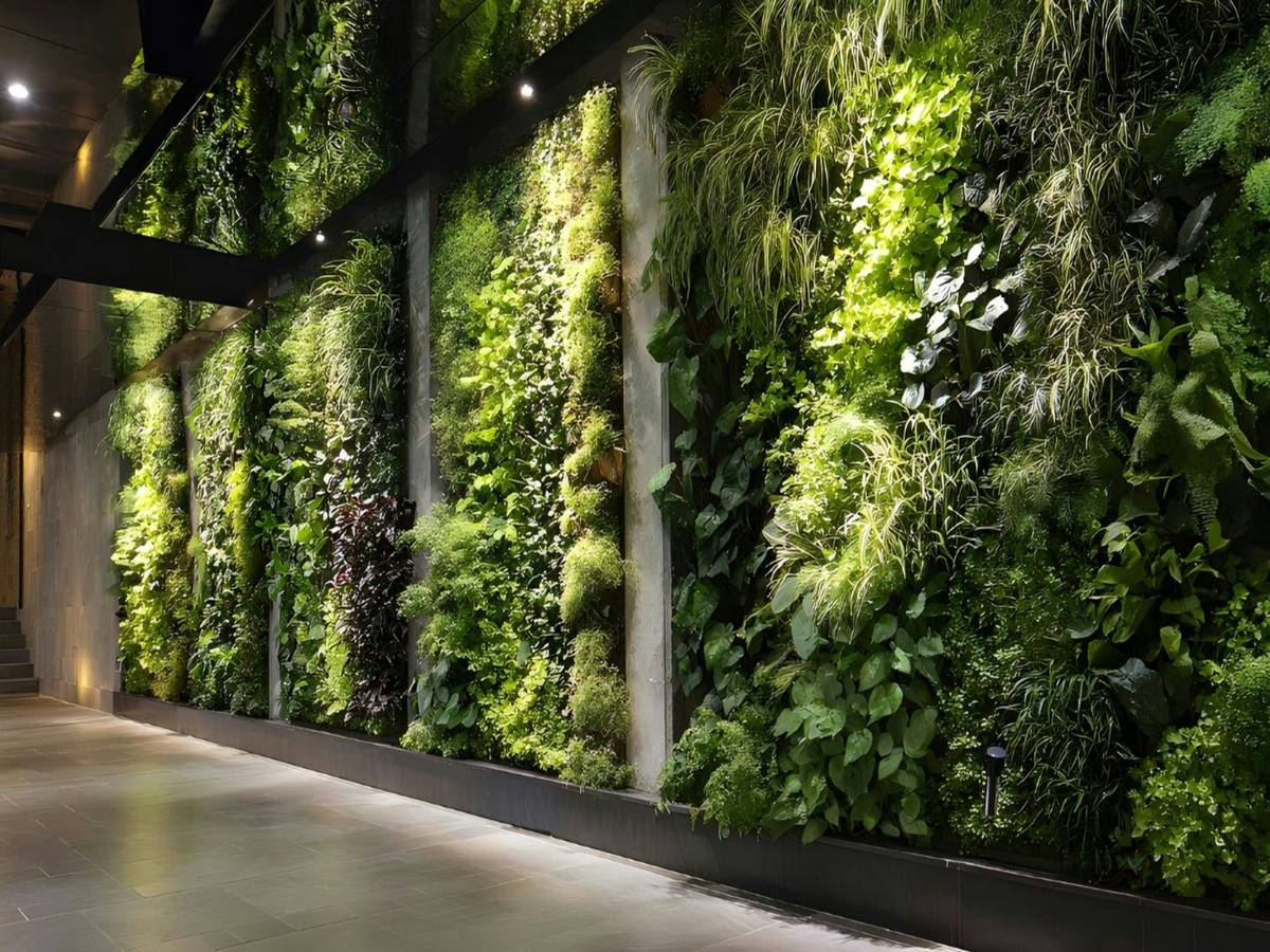 hanging wall plants decor featuring pothos and string of pearls in macrame hangers on a white living room wall