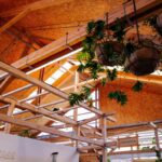 Hanging Plants in Room: 7 Proven Tips to Avoid Deadly Mistakes