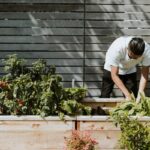 Home Depot Hanging Plants Indoor: 7 Proven Tips to Avoid Droopy, Dead, or Disappointing Displays