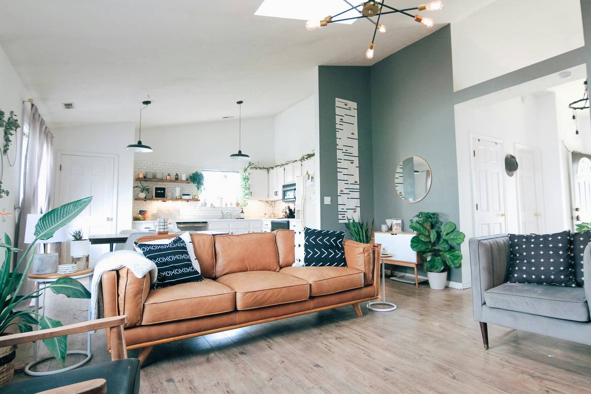 A lush hanging planter with trailing pothos in a sunlit living room featuring hanging plants living room decor